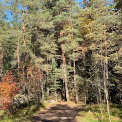 Keskuspuisto Park - Lapua