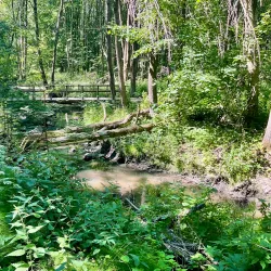 Keskuspuisto Park - Lapua