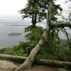 Koli Hill Ukko-Koli Viewpoint - Lieksa