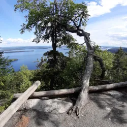 Koli Hill Ukko-Koli Viewpoint - Lieksa