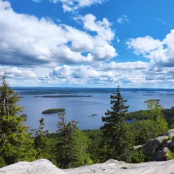 Koli National Park - Lieksa