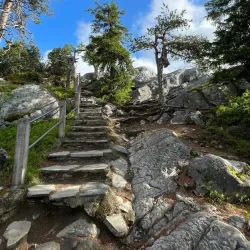 Koli National Park - Lieksa