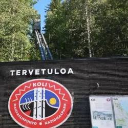 Koli National Park - Lieksa