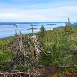 Koli National Park - Lieksa