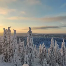 Koli National Park - Lieksa