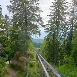 Koli National Park - Lieksa