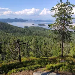 Koli National Park - Lieksa