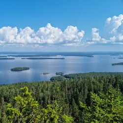 Koli National Park - Lieksa