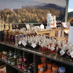 Koli Nature Centre Ukko - Lieksa