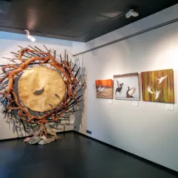 Koli Nature Centre Ukko - Lieksa