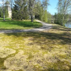 Lieksa Church - Lieksa