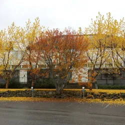 Lieksa Church - Lieksa