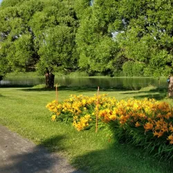 Pielinen Lake - Lieksa