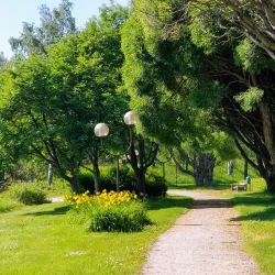Pielinen Lake - Lieksa