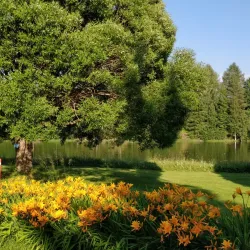 Pielinen Lake - Lieksa