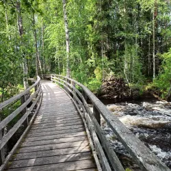 Ruunaa Hiking Area - Lieksa