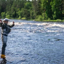 Ruunaa Hiking Area - Lieksa