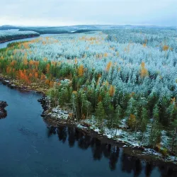 Ruunaa Hiking Area - Lieksa