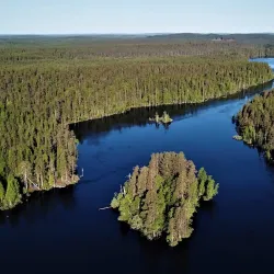 Ruunaa Hiking Area - Lieksa