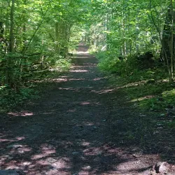 Karkalinniemi Nature Trail - Lohja