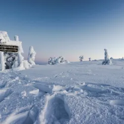 Aurora Borealis Viewing Spots - Muonio