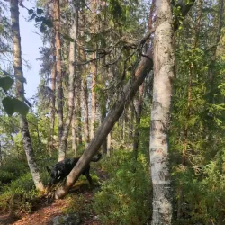 Muonio Fishing Spots - Muonio