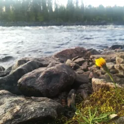 Muonio Fishing Spots - Muonio