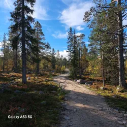 Muonio Hiking Trails - Muonio