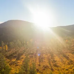 Pallas-Yllästunturi National Park - Muonio
