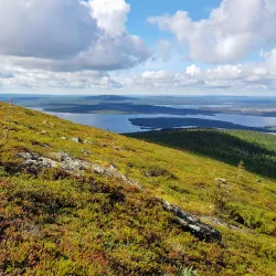 Pallas-Yllästunturi National Park - Muonio