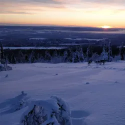 Pallas-Yllästunturi National Park - Muonio