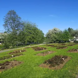 Hupisaaret Park - Oulu