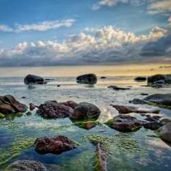 Reposaari Island - Pori