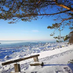 Reposaari Island - Pori