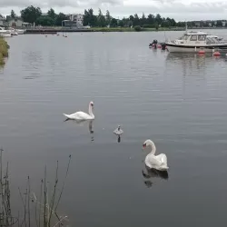 Raahe Art Museum - Raahe