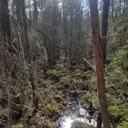 Raahe Nature Reserve - Raahe
