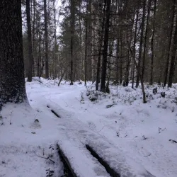 Raahe Nature Reserve - Raahe