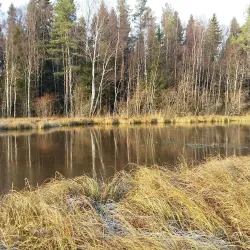 Raahe Nature Reserve - Raahe