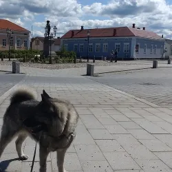 Raahe Old Town - Raahe