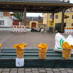 Rauma Market Square (Rauman tori) - Rauma