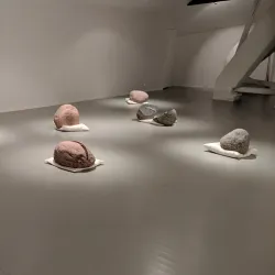 Rauma Museum - Rauma