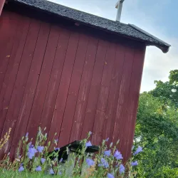 Loppi Church - Riihimaki