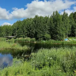 Ridasjärvi Nature Reserve - Riihimaki