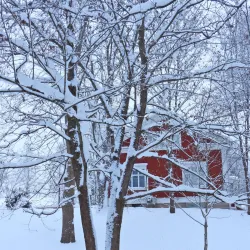 Riihimäki City Park - Riihimaki