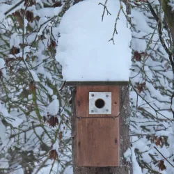 Riihimäki City Park - Riihimaki
