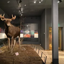 Arktikum Science Museum and Arctic Centre - Rovaniemi