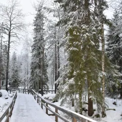 Ranua Wildlife Park - Rovaniemi