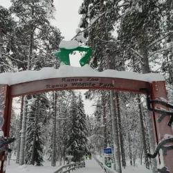 Ranua Wildlife Park - Rovaniemi