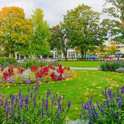 Salon Kauppatori (Market Square) - Salo