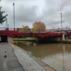 Salon Kauppatori (Market Square) - Salo